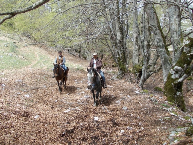  Asociación Equestriana en Aquilan 